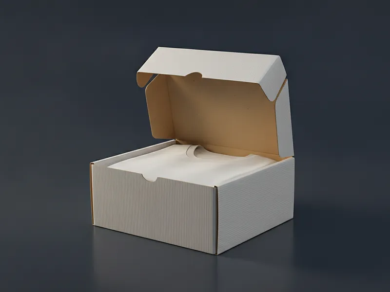 Custom apparel mailer box