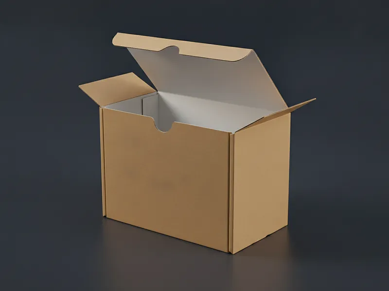 Custom book mailer box