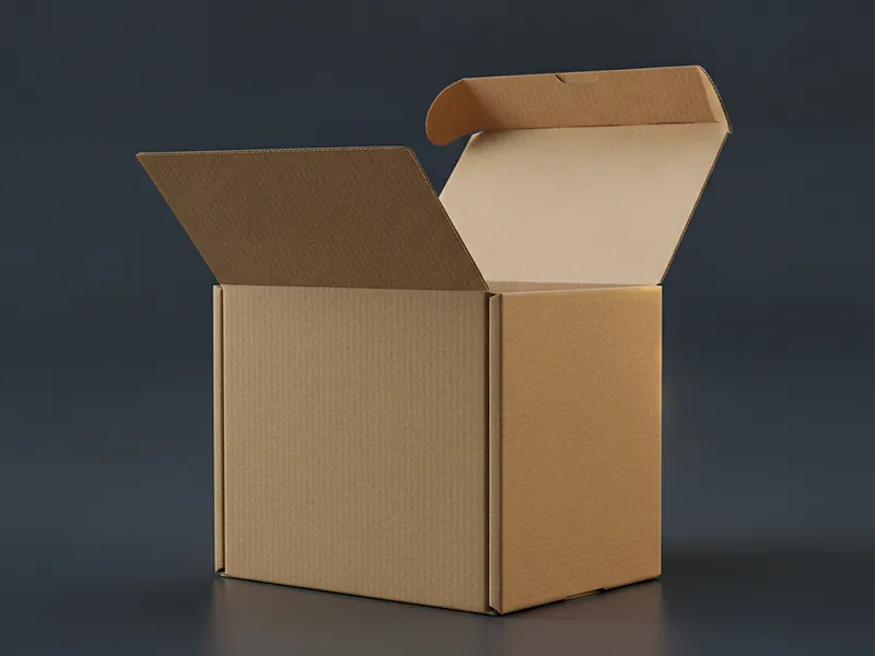 Custom eco kraft mailer box