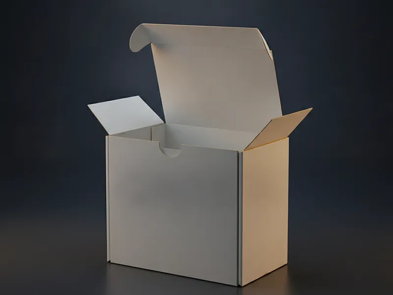 Custom literature mailer box